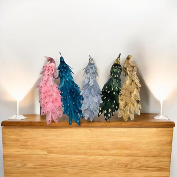 طائر الطاووس 5 حبات