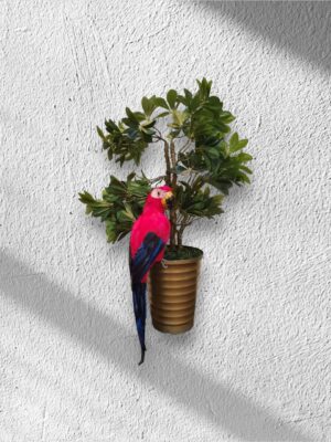 طائر الببغاء الاحمر للزينة كبير