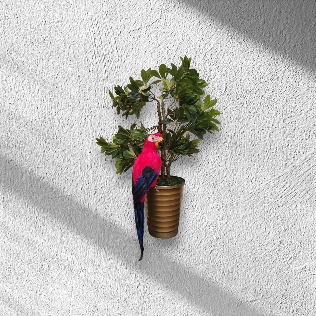 طائر الببغاء الاحمر للزينة كبير