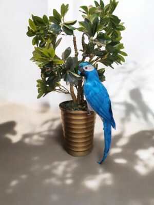 طائر الببغاء الازرق للزينة