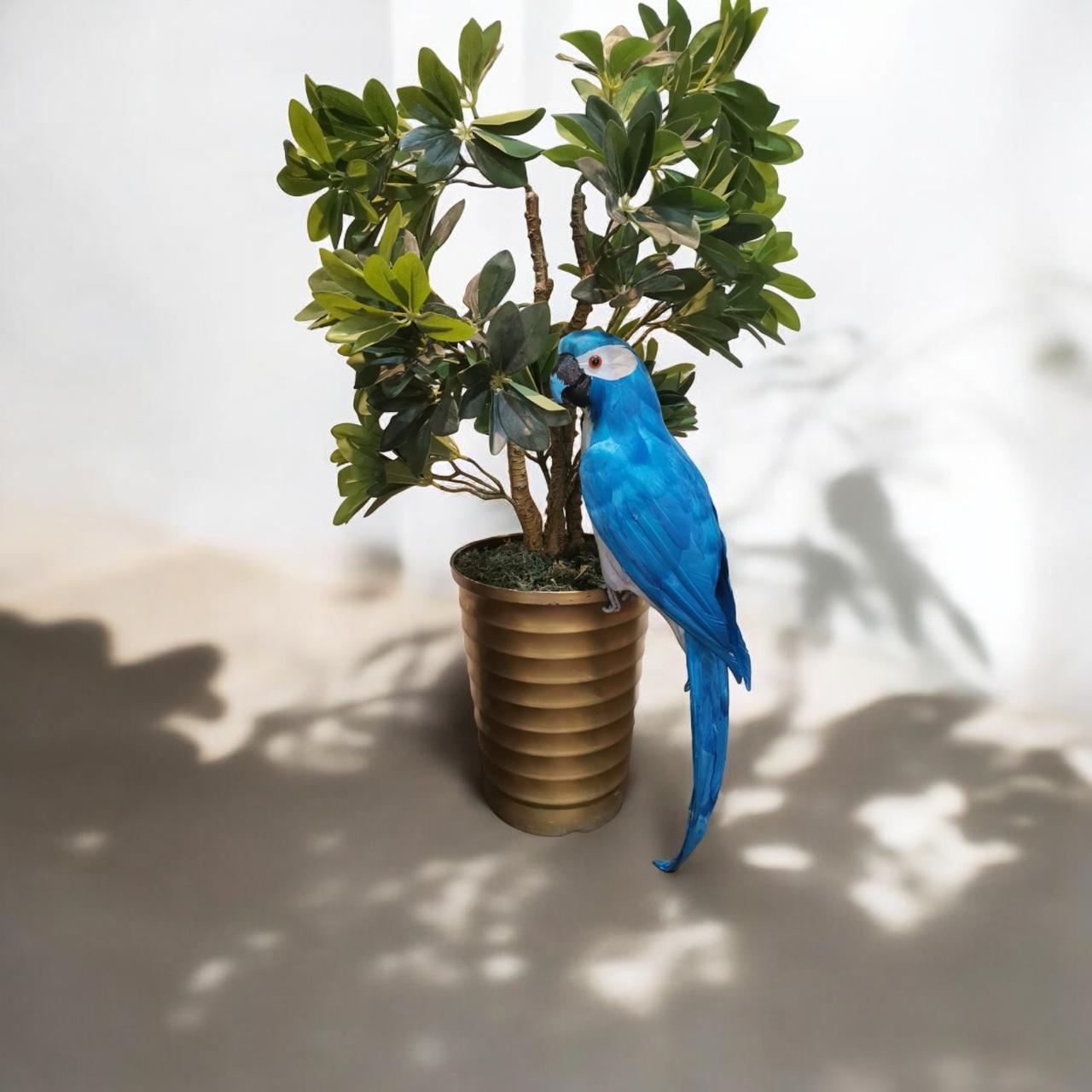 طائر الببغاء الازرق للزينة