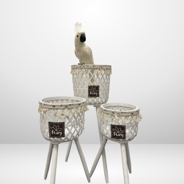 مجموعة من 3 حوامل نباتات منسوجة ومتدرجة - ألوان متعددة