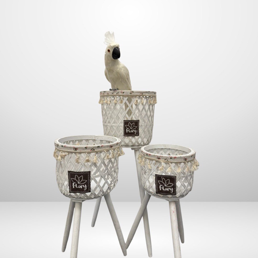 مجموعة من 3 حوامل نباتات منسوجة ومتدرجة - ألوان متعددة